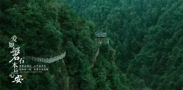 抖音电商同行者杨国民:一年卖出羊粪肥2000多吨,前程序员把小众品做成大生意